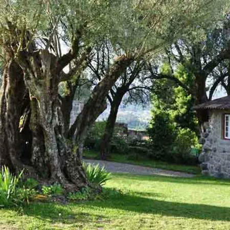 Encantadora Casa Com Piscina Nos Arredores De براغا